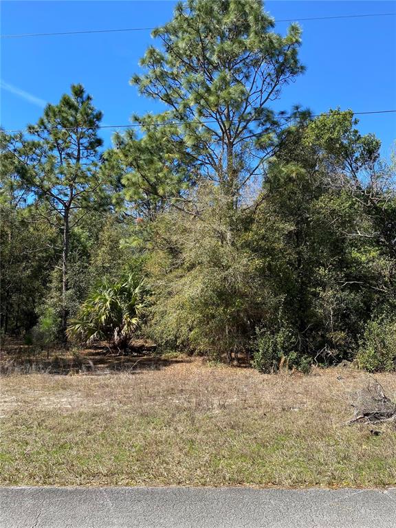 8630 N CATAPANE LOOP, CRYSTAL RIVER, FL — photo 2 of 3