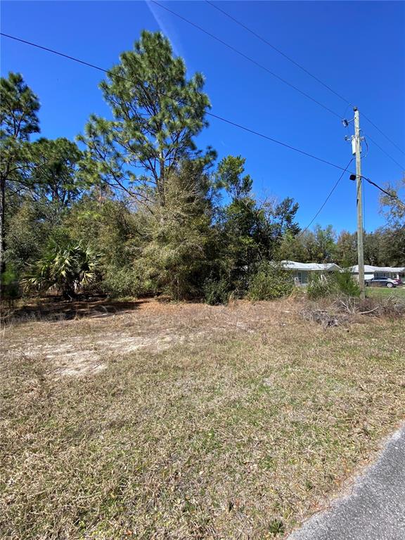 8630 N CATAPANE LOOP, CRYSTAL RIVER, FL — photo 3 of 3