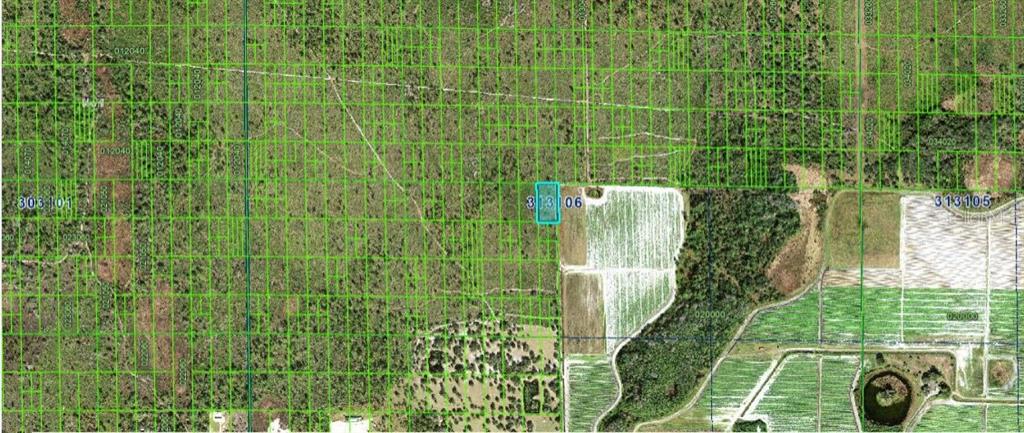 This is a satellite map view showing a highlighted rectangular parcel of land — GRAPE HAMMOCK RD, LAKE WALES, FL