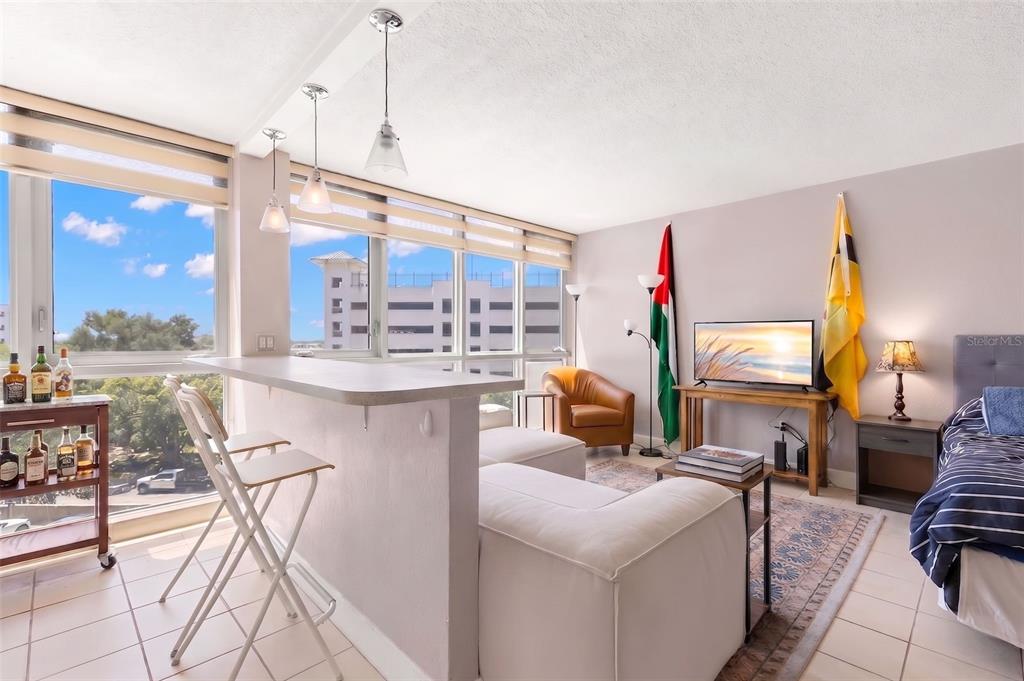 A studio apartment features a kitchen island, a living area with a sofa, and large windows — 470 3RD STREET S UNIT 515, ST PETERSBURG, FL