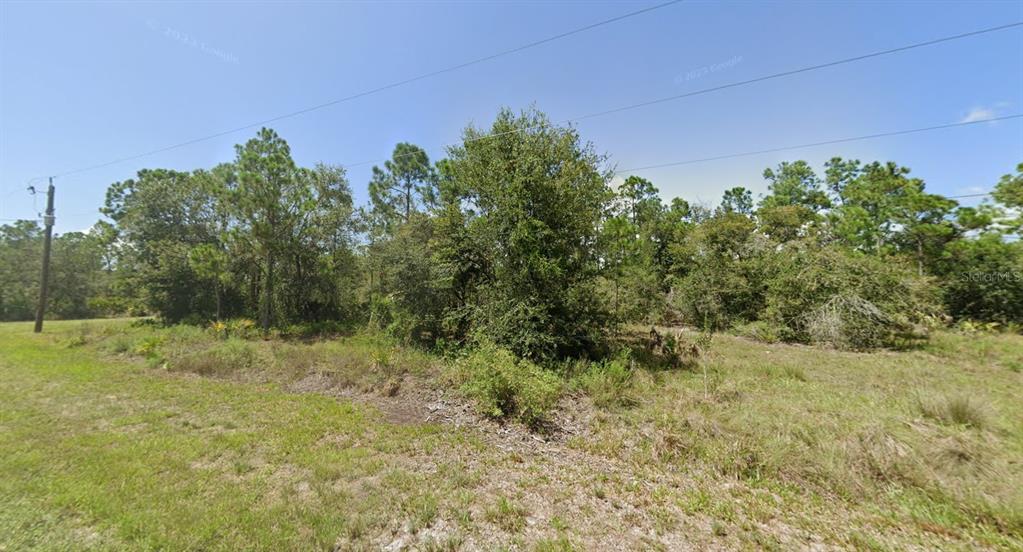 A grassy, undeveloped lot features scattered trees and shrubs under a clear blue sky — 13130 APPLEBY DRIVE, PUNTA GORDA, FL