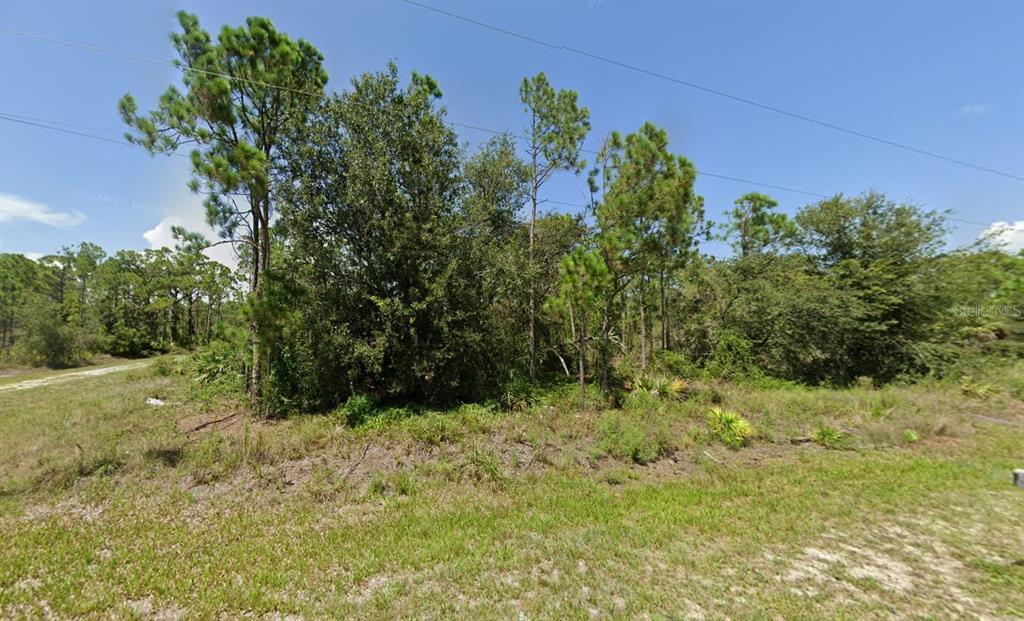 A vacant, wooded lot features scattered pine trees and native Florida vegetation under a clear sky — 13130 APPLEBY DRIVE, PUNTA GORDA, FL