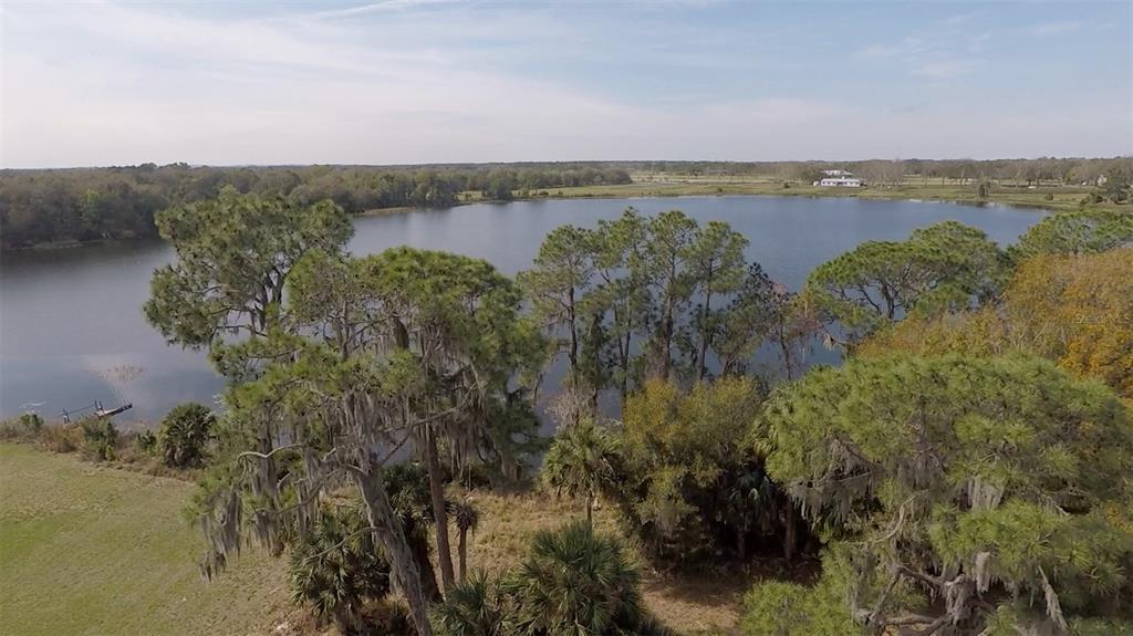 An aerial view shows a lake surrounded by pine trees and grassy land — 3412 LAKE DIANE ROAD, TAVARES, FL