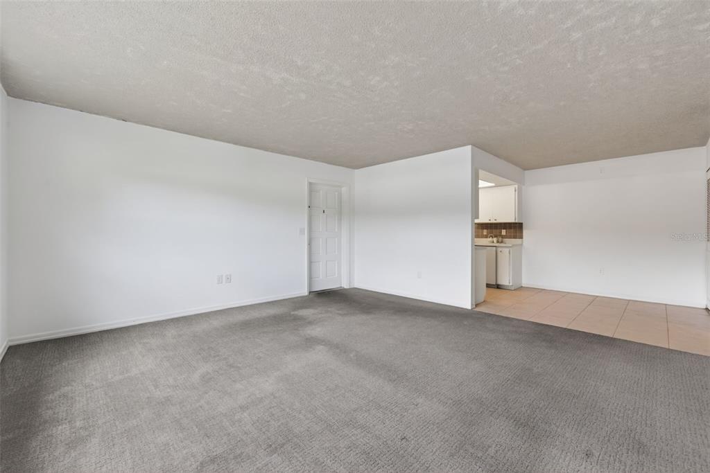 A living room with gray carpeting transitions into a tiled kitchen area with white cabinets — 5800 HOLLYWOOD BOULEVARD UNIT 112, SARASOTA, FL