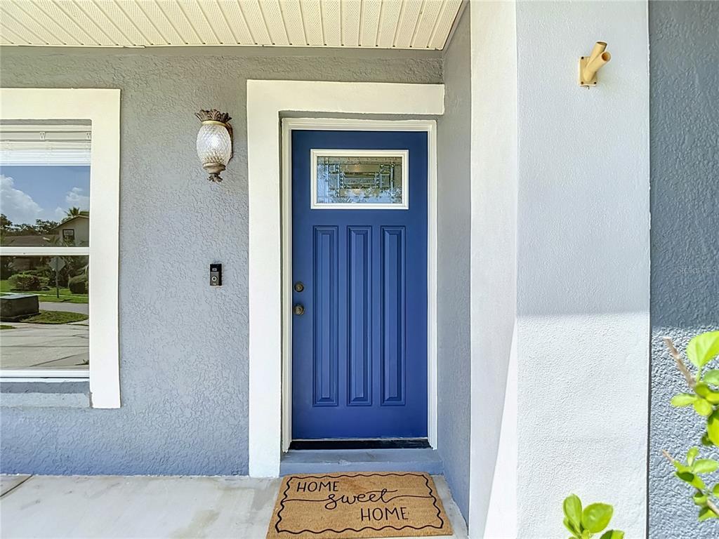 A blue front door with a glass insert sits on a porch with a welcome mat — 4113 HOLLOW HILL DR, TAMPA, FL