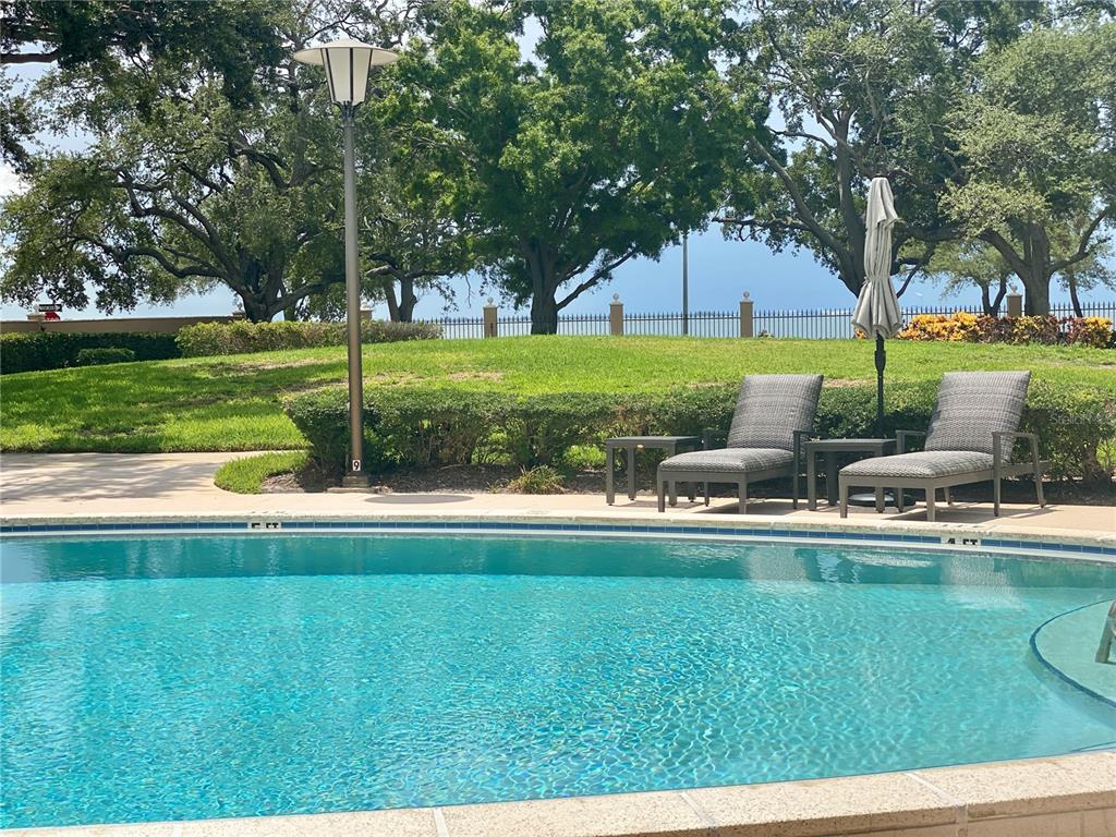 A swimming pool sits in front of two lounge chairs on a grassy lawn — 2403 S ARDSON PLACE UNIT 402B, TAMPA, FL