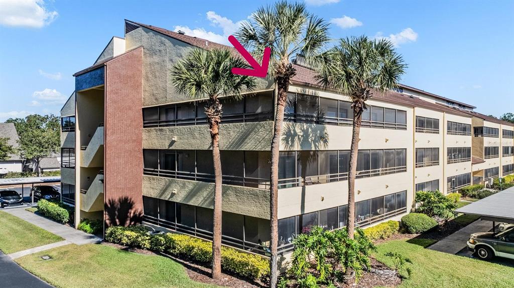 An exterior view of a multi-story apartment building with screened balconies and palm trees — 13612 S VILLAGE DRIVE UNIT 5212, TAMPA, FL