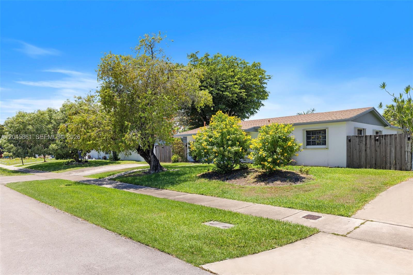 A single-story house with a white exterior, a brown roof, and yellow flowering bushes — 9971 SW 156th Ter, Miami FL 33157, MIAMI, FL