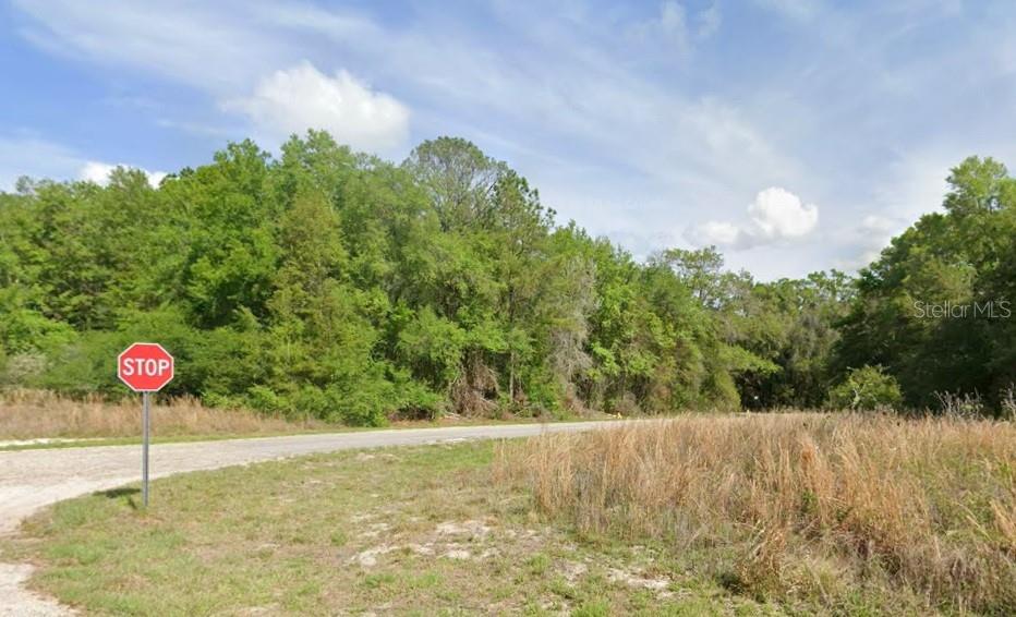 A stop sign stands at the edge of a grassy lot bordered by dense trees — 7995 N WALTON TERRACE, DUNNELLON, FL