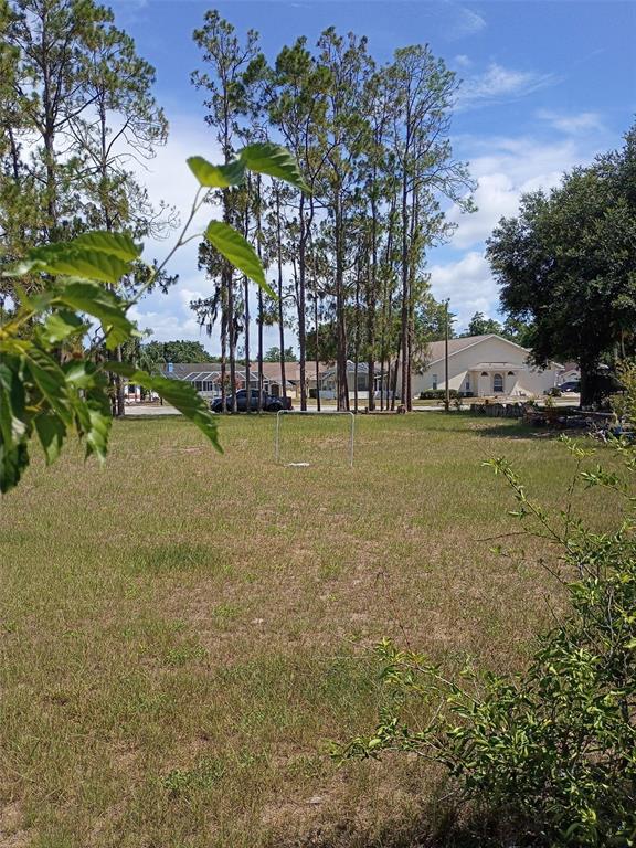A grassy vacant lot features a small soccer goal with trees and houses in the background — 5142 LA PLATA DRIVE, NEW PORT RICHEY, FL