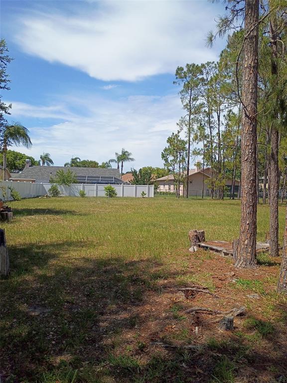 A grassy, vacant residential lot features several pine trees and a white vinyl privacy fence — 5142 LA PLATA DRIVE, NEW PORT RICHEY, FL