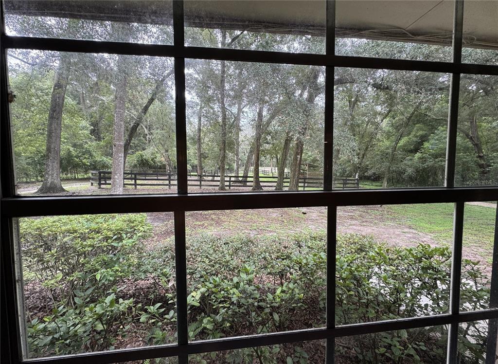 A view through a window shows a fenced yard with trees and bushes — 560 N LAKE PLEASANT ROAD, APOPKA, FL