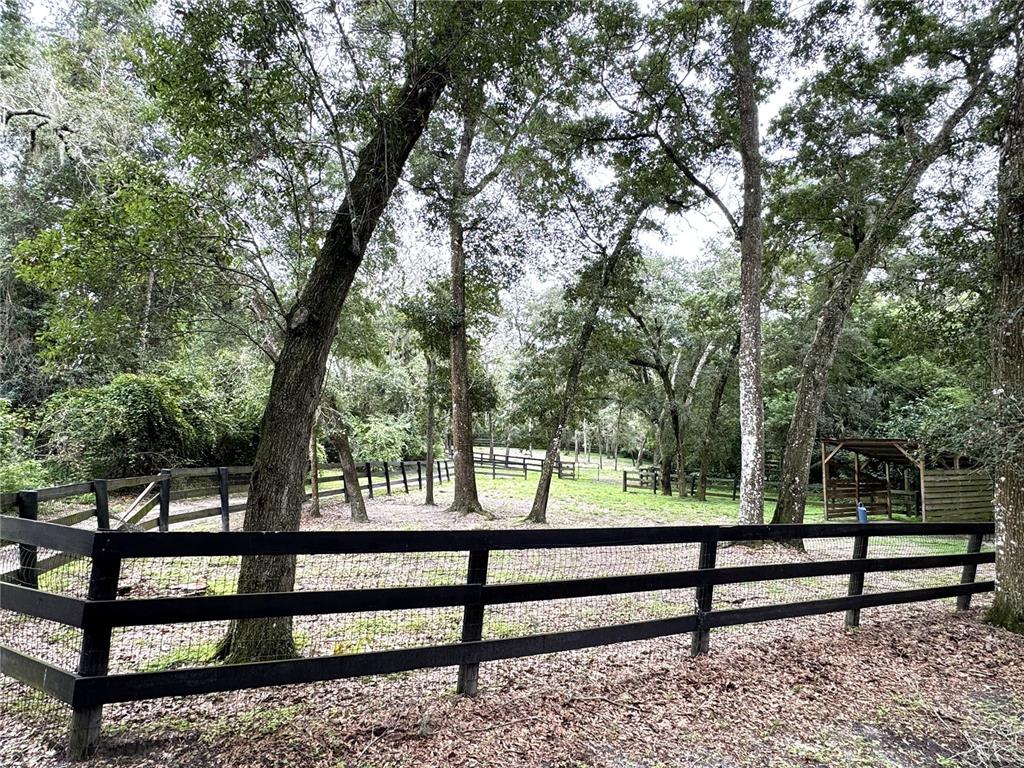 A fenced pasture with mature trees and a small wooden shelter in a wooded area — 560 N LAKE PLEASANT ROAD, APOPKA, FL