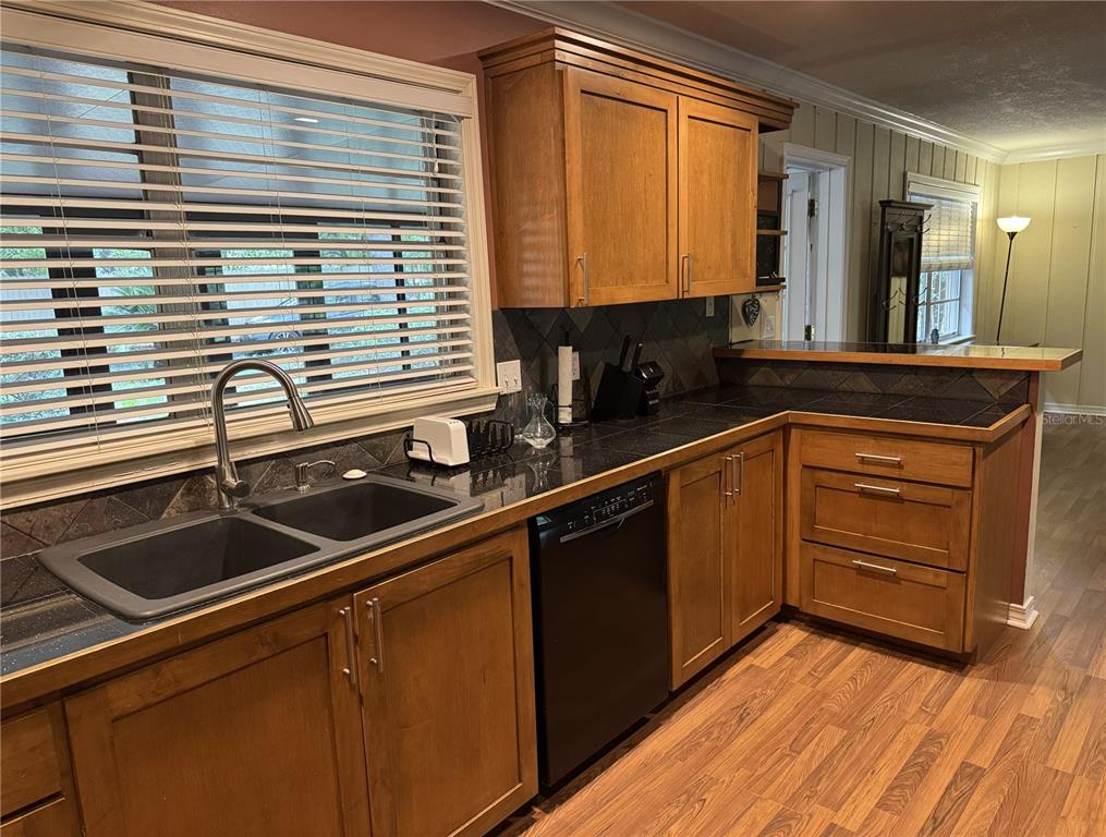 A kitchen features wood cabinets, dark countertops, a double sink, and a black dishwasher — 560 N LAKE PLEASANT ROAD, APOPKA, FL