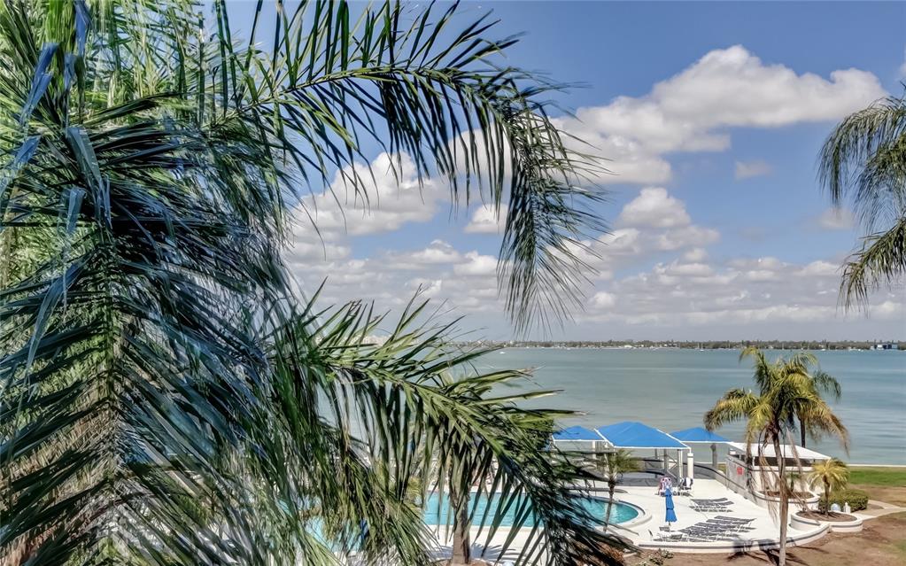 A view of a swimming pool, blue cabanas, and a bay from behind palm fronds — 5155 ISLA KEY BOULEVARD S UNIT 301, ST PETERSBURG, FL