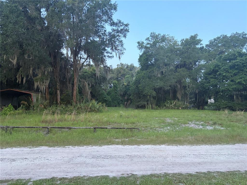 A grassy, wooded lot features a small metal carport structure on the left side — 161 LITTLE ORANGE LAKE DRIVE, HAWTHORNE, FL