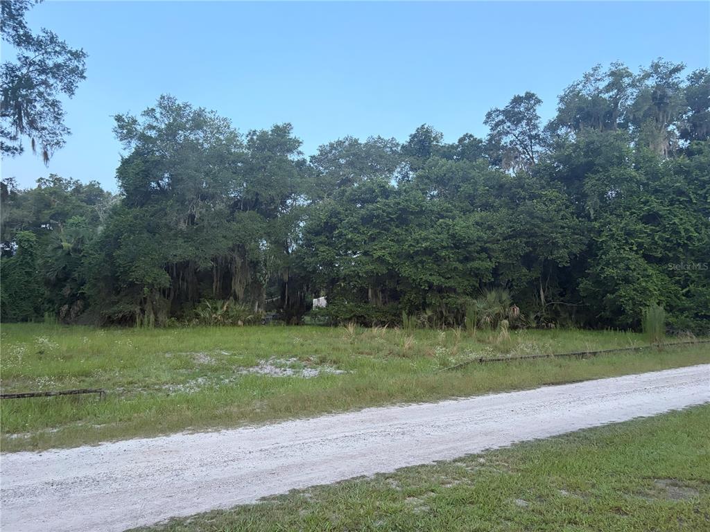 A vacant, grassy lot with trees and a dirt road in the foreground — 161 LITTLE ORANGE LAKE DRIVE, HAWTHORNE, FL