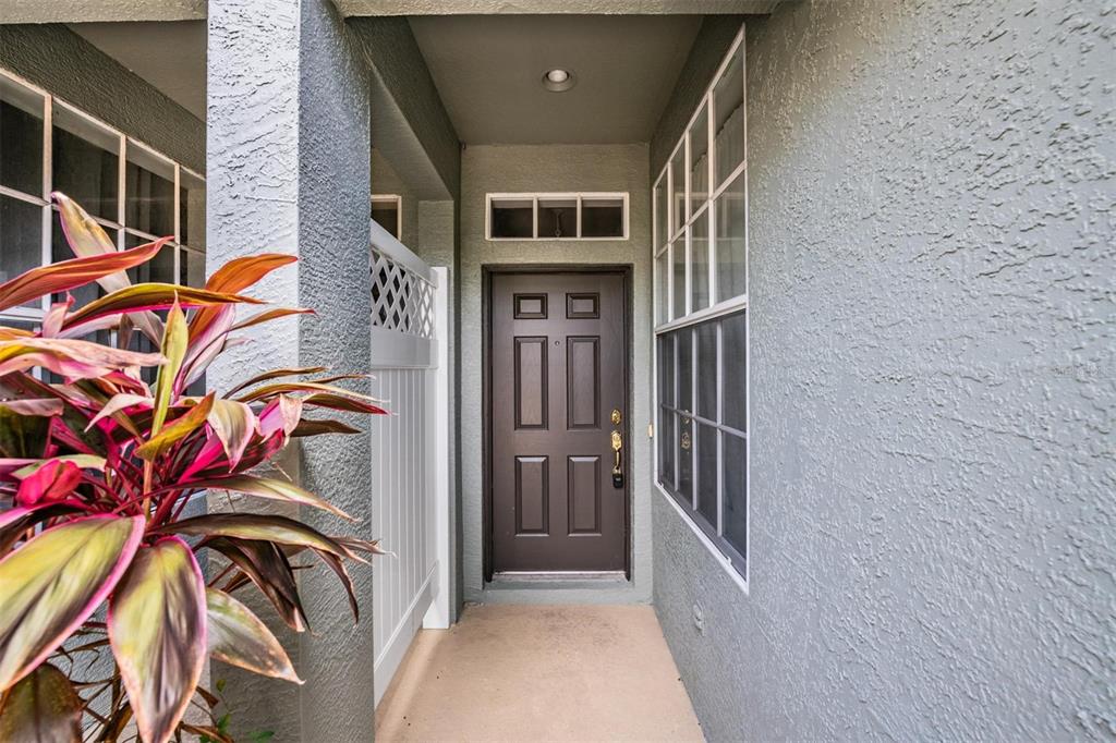 An exterior view of a home entryway with a dark brown door and gray stucco — 2461 EARLSWOOD COURT, BRANDON, FL