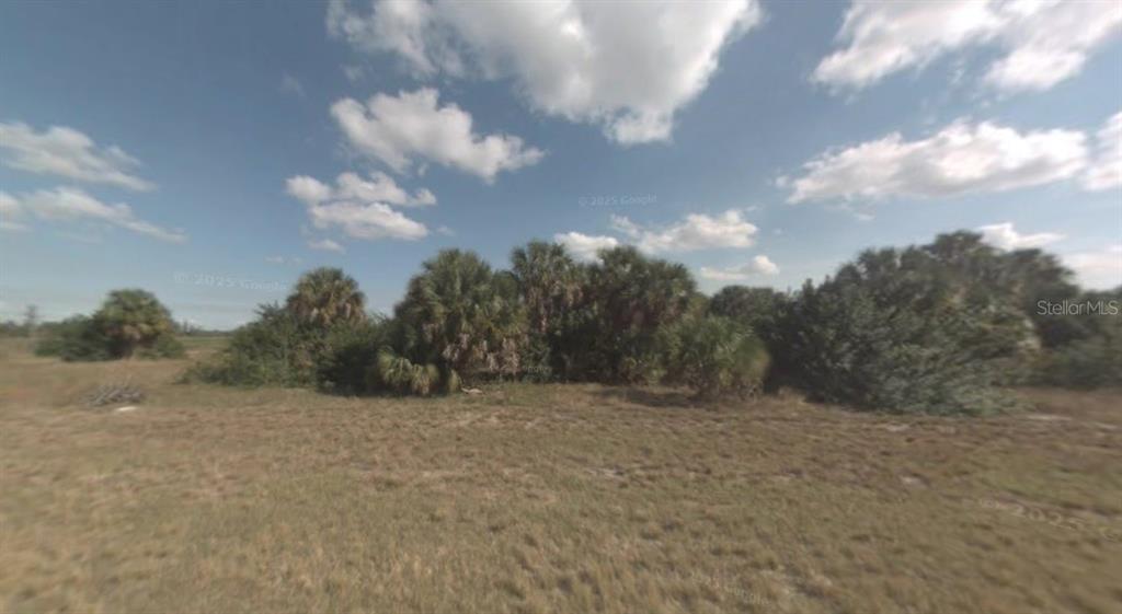 A grassy field leads to a cluster of palm trees under a partly cloudy sky — 1095 RIGHT SIDE ROAD, MOORE HAVEN, FL