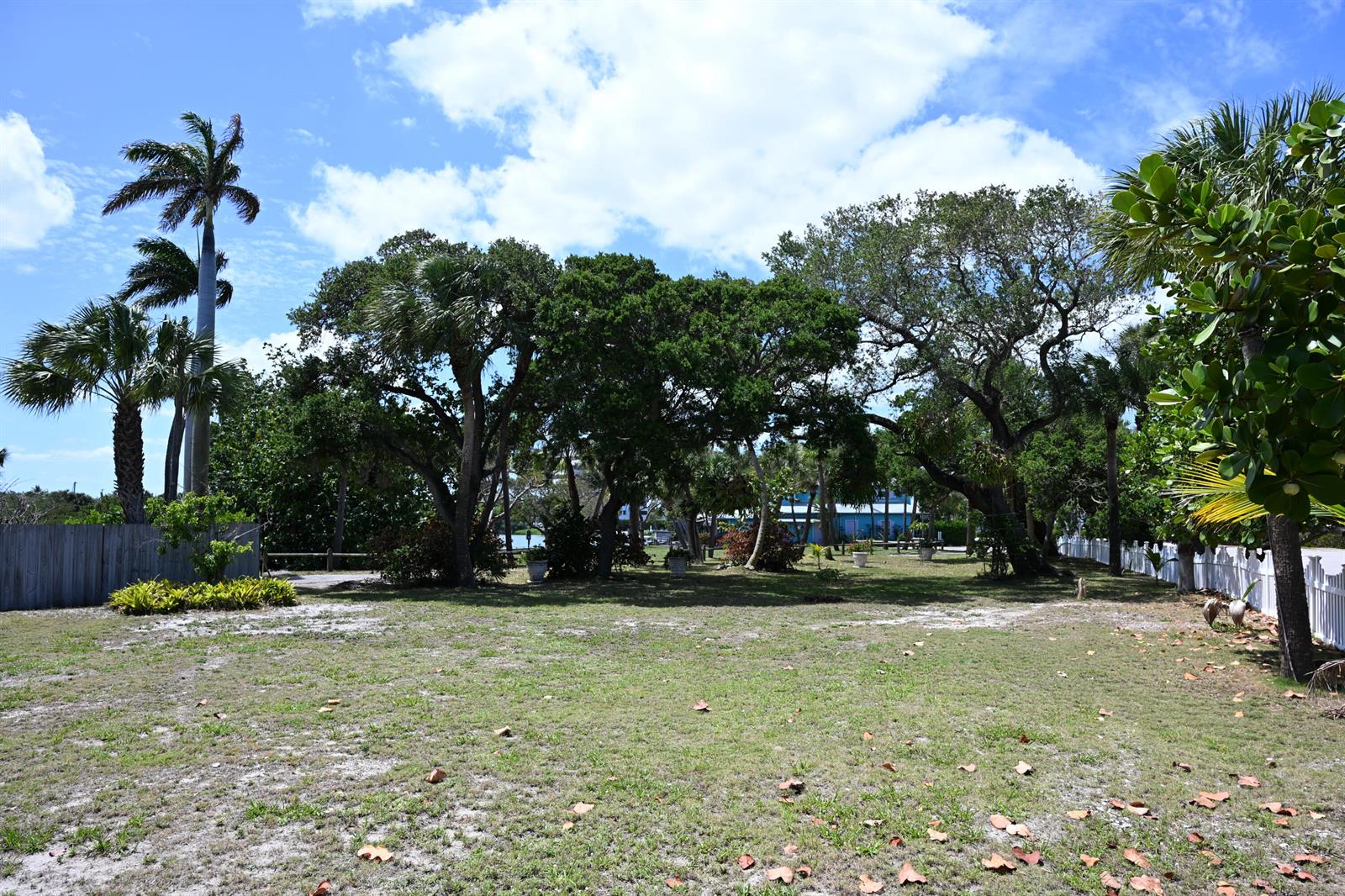 A grassy yard features several large trees and palm trees under a blue sky — 18019 N Highway A1a, Jupiter FL 33477, JUPITER, FL