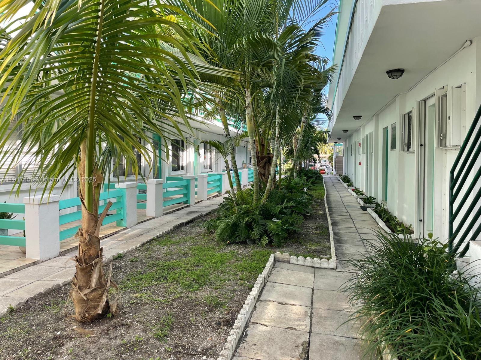 A paved walkway runs between a white building and a landscaped garden with palm trees — 6490 Collins Ave # 5, Miami Beach FL 33141, MIAMI BEACH, FL