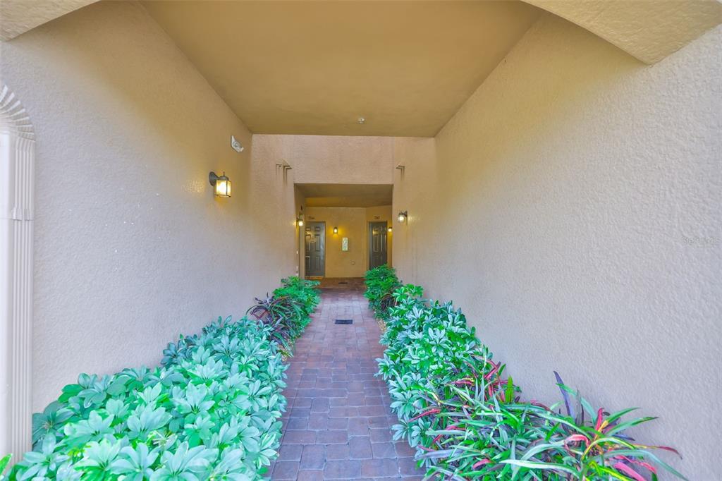 A paved walkway leads between two rows of plants toward two dark entrance doors — 7344 SKYBIRD ROAD, BRADENTON, FL