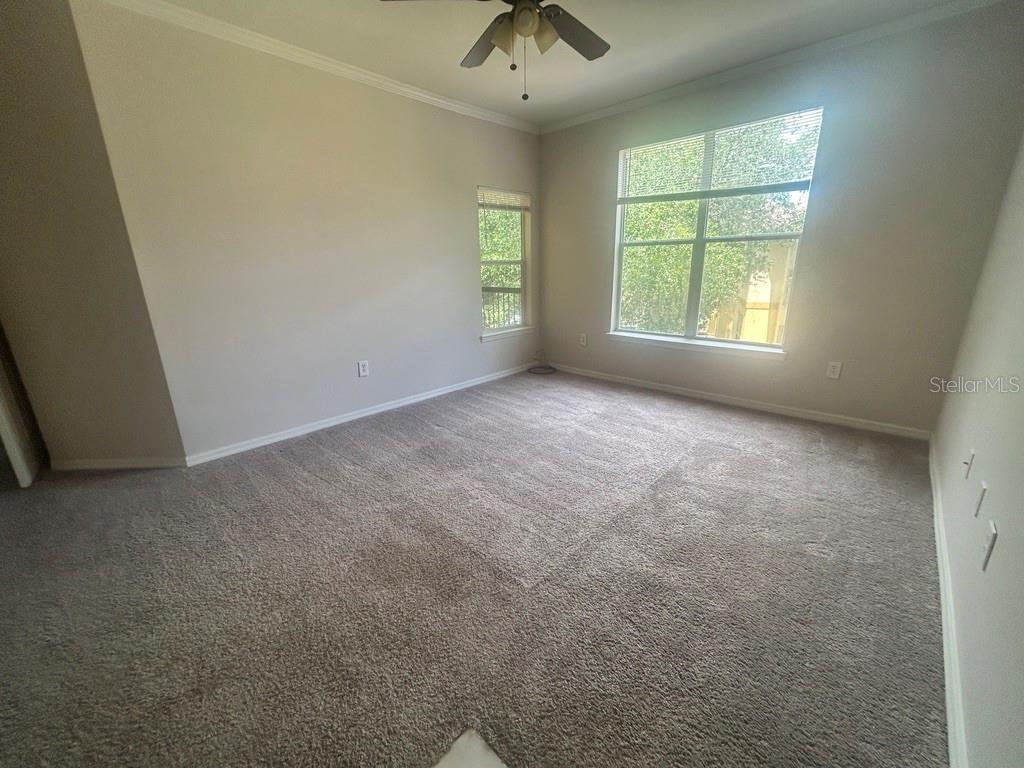 An empty bedroom features beige walls, gray carpeting, a ceiling fan, and two windows — 5616 PINNACLE HEIGHTS CIRCLE UNIT 308, TAMPA, FL