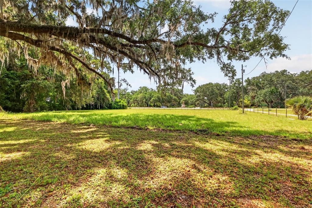A large, grassy vacant lot features mature oak trees with Spanish moss under a blue sky — 3848 WARM SPRINGS AVENUE, WILDWOOD, FL