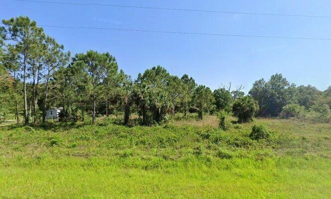 A grassy lot features scattered pine trees and a small white structure in the background — 756 Siboney Ave Street, Clewiston FL 33440, CLEWISTON, FL