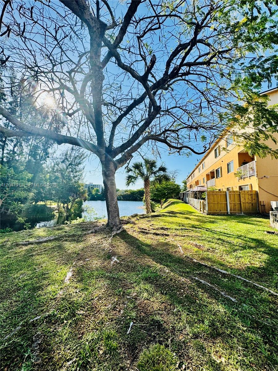 A large tree stands on a grassy lawn beside a lake and a residential building — 6245 Kendale Lakes Cir # 208, Miami FL 33183, MIAMI, FL