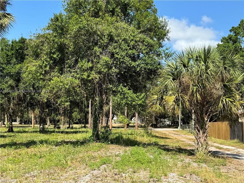 A grassy, partially wooded vacant lot features a palm tree and a wooden fence — 0 Magnolia Ave, La Belle FL 33935, LA BELLE, FL