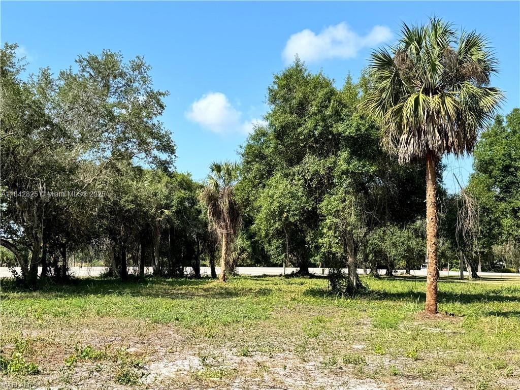 A grassy, vacant lot features several mature trees and a tall palm tree under blue skies — 0 Magnolia Ave, La Belle FL 33935, LA BELLE, FL