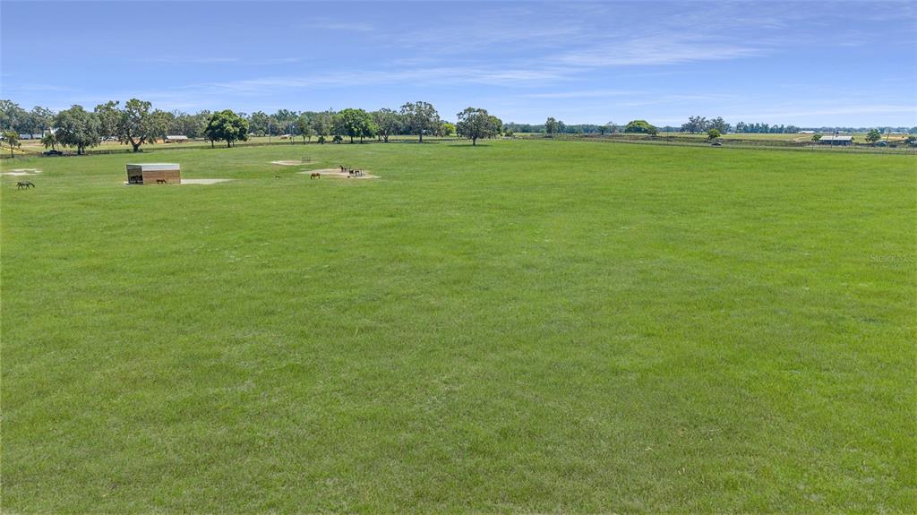 A wide, grassy pasture features a small wooden shed and several horses in the distance — 1177 NW 102ND BOULEVARD, WILDWOOD, FL