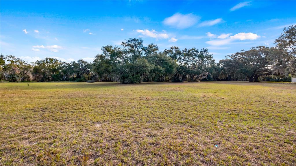 WOODLEA ROAD, TAVARES, FL — photo 2 of 30