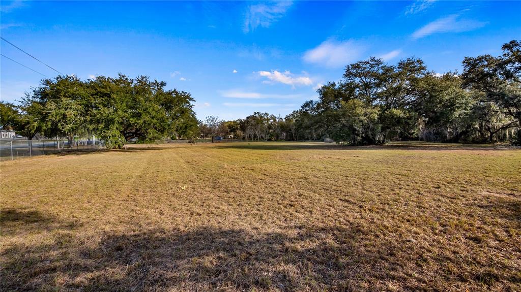 WOODLEA ROAD, TAVARES, FL — photo 3 of 30