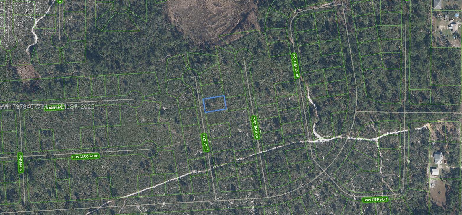 This is an aerial map showing a highlighted rectangular plot of land in a wooded area — 1136 Rustic Court, Sebring FL 33852, SEBRING, FL