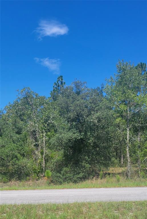 0 SW BIG BEAR RIDGE