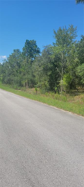 A paved road runs alongside a wooded lot with tall trees under a clear blue sky — 0 SW BIG BEAR RIDGE, DUNNELLON, FL