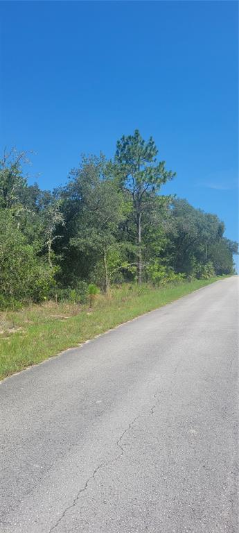 A paved road runs alongside a wooded lot under a clear blue sky — 0 SW BIG BEAR RIDGE, DUNNELLON, FL