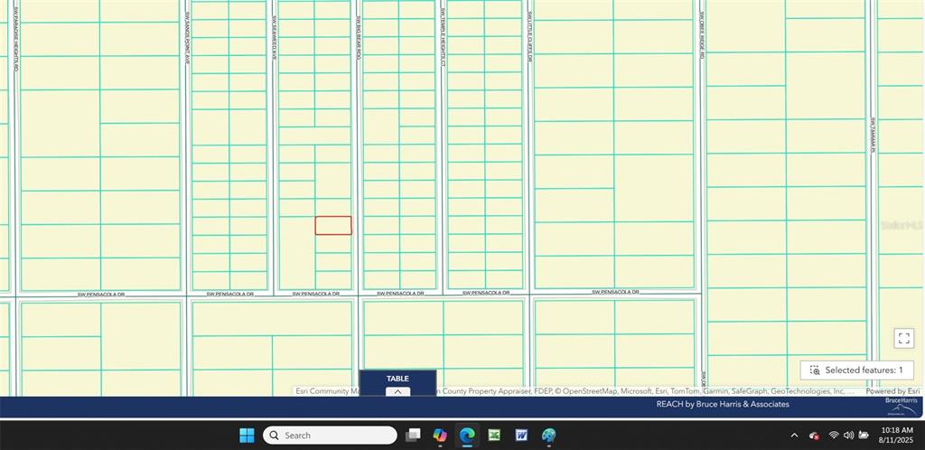 This is a digital map showing property parcel lines and street names in a residential area — 0 SW BIG BEAR RIDGE, DUNNELLON, FL