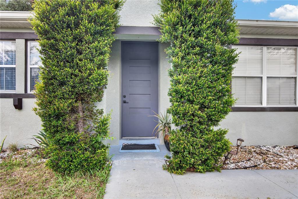 A gray front door is flanked by two tall, manicured hedges on a concrete walkway — 626 BALDWIN DRIVE, KISSIMMEE, FL