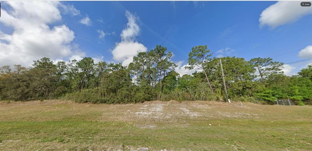 A vacant, grassy lot with a dense line of trees against a blue sky — COMMONWEALTH AVE N, POLK CITY, FL