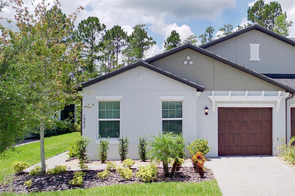 A single-story house with a gray exterior, a brown garage door, and a landscaped front yard — 16657 SHELL BAY DRIVE, LAND O LAKES, FL