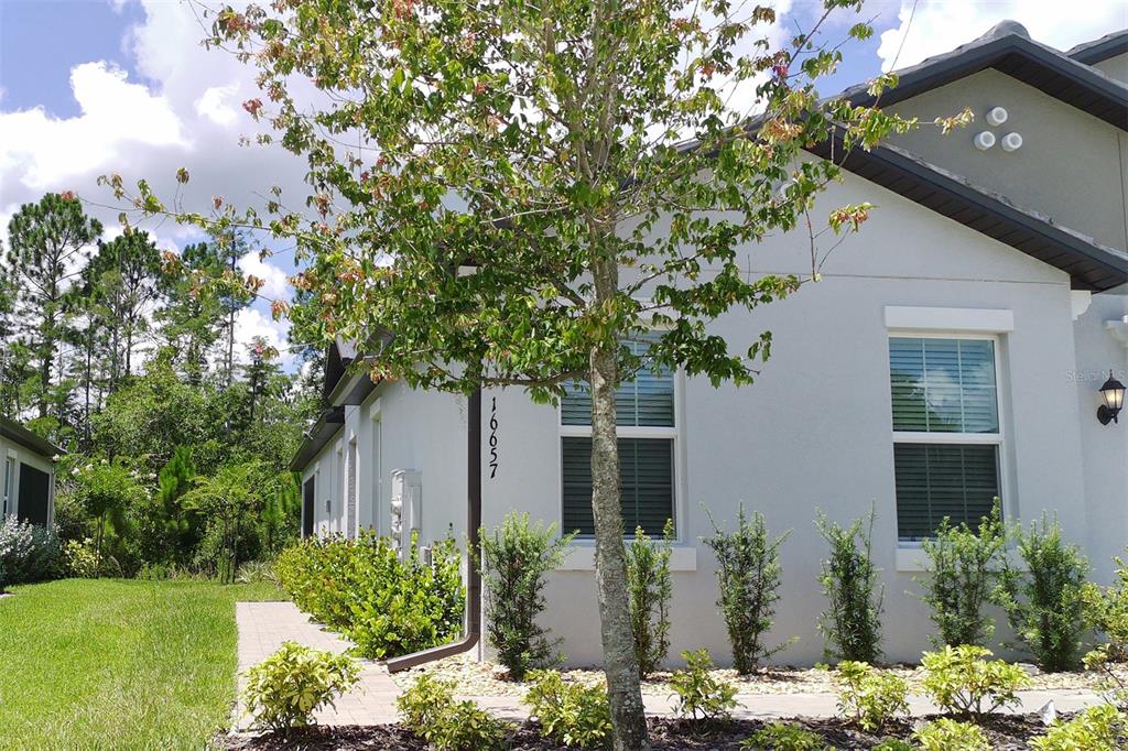 A light-colored house exterior features a vertical address number, a young tree, and landscaping — 16657 SHELL BAY DRIVE, LAND O LAKES, FL