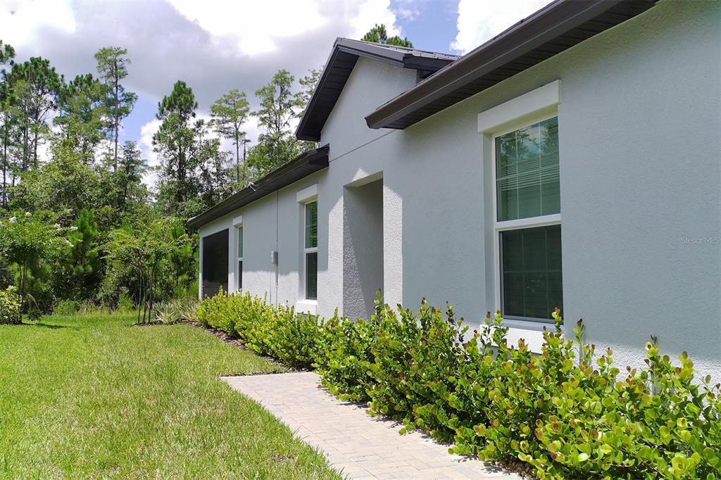 A side view of a light-colored stucco house with a paved walkway and landscaping — 16657 SHELL BAY DRIVE, LAND O LAKES, FL