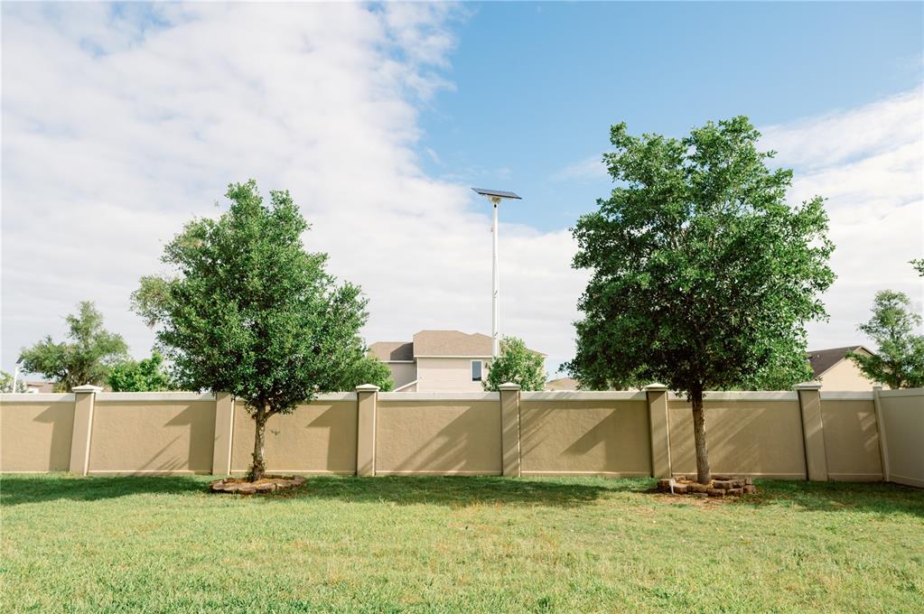 A backyard lawn features two trees in front of a tan concrete privacy wall — 7426 TUSCAN BAY CIRCLE, WESLEY CHAPEL, FL