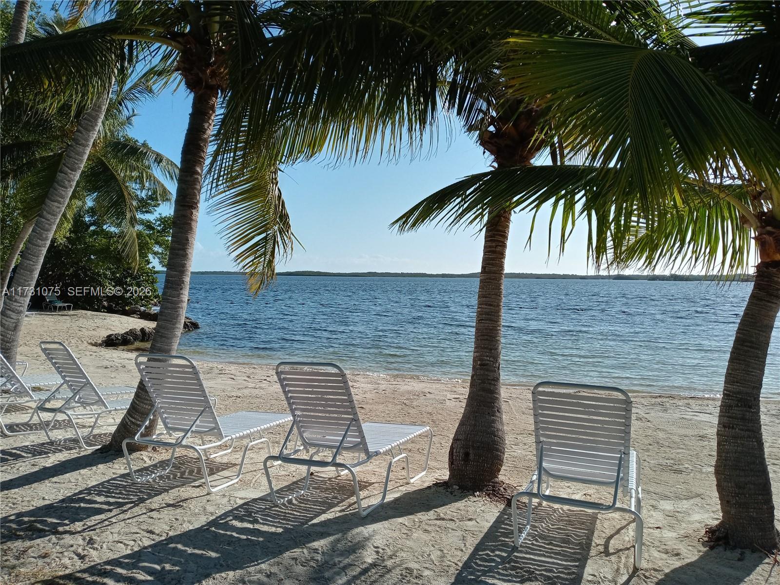 Three white lounge chairs sit on a sandy beach beneath palm trees overlooking the water — 35 Bass Ave., Key Largo FL 33037, KEY LARGO, FL