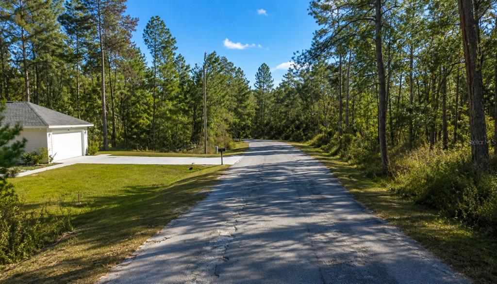 A paved road leads past a house with a white garage and surrounding pine trees — FISHER CRSE,, OCKLAWAHA, FL