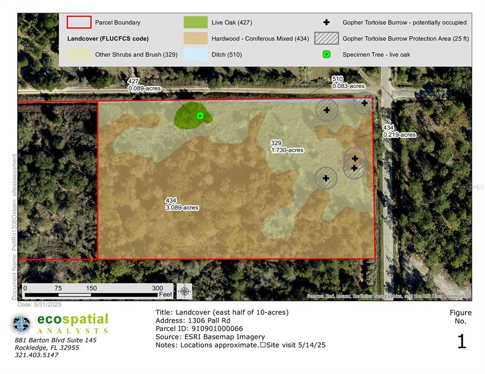 1306 PELL ROAD, OSTEEN, FL — photo 2 of 4