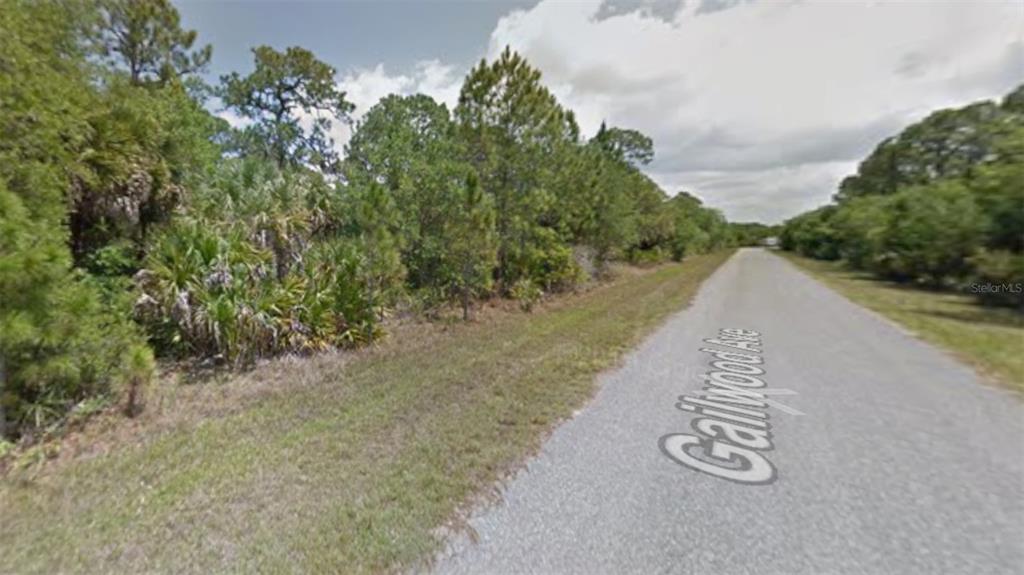 A paved road runs alongside a wooded lot with dense trees and palmetto bushes — 14088 GAILWOOD AVENUE, PORT CHARLOTTE, FL